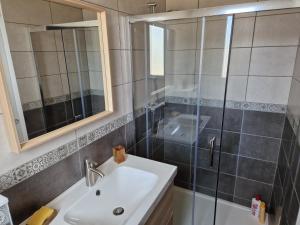 uma casa de banho com um lavatório e um chuveiro em Le 4.01 proche centre em Lannion