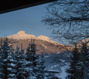 Príroda v okolí apartmánu