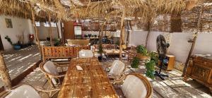 Galeriebild der Unterkunft Rayhana Guest House in Marsa Alam City + 80 Fotos