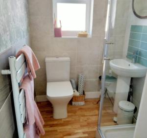a bathroom with a toilet and a sink at Garden Cottage in Guisborough