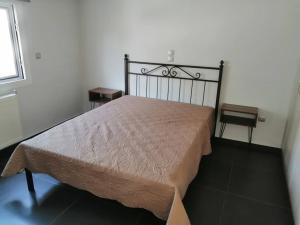 a bedroom with a bed with a brown bedspread at Manolis Loft in Piraeus