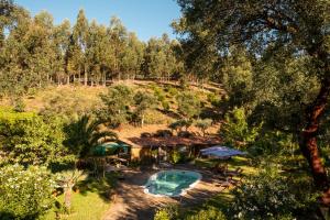 an overhead view of a backyard with a pool and trees at Quinta dos Sarilhos in Pedrógão Grande