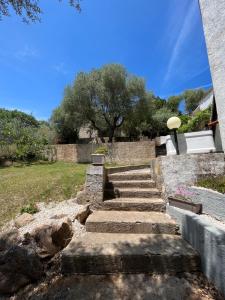 a set of stone stairs with a tree in the background at Casa Le Cicale in Porto Istana