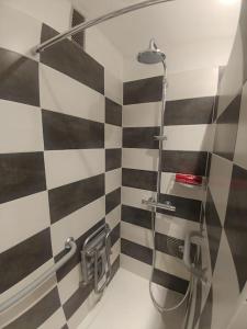 a bathroom with a shower with black and white stripes at 2 pièces tout confort à Alfortville - chez Christophe in Alfortville