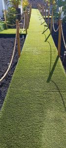 a long grass pathway with a row of benches at Asociación deportiva TAGOROR LOS OLIVITOS in Adeje