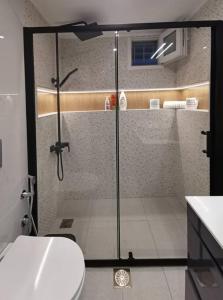 La salle de bains est pourvue d'une douche, de toilettes et d'un lavabo. dans l'établissement Keti's home, à Athènes