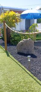 a rock and an umbrella in a yard at Asociación deportiva TAGOROR LOS OLIVITOS in Adeje