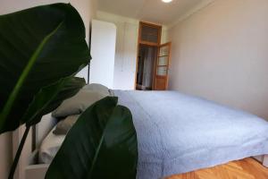 Un dormitorio con una cama blanca y una planta en Teika, en Riga