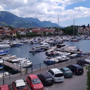 a bunch of boats are parked in a marina at Sea and Sunshine 100m to beach,free parking,centar,View in Tivat