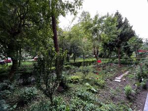 a garden with flowers and trees in a park at Cozy Apartment in Braşov