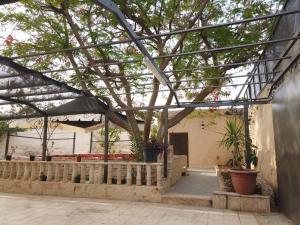 ein Gewächshaus mit einem Baum in einem Gebäude in der Unterkunft ليا شاليه liya chalet in Ash Shāghūr