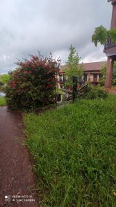 een struik met rode bloemen naast een huis bij La CASUCA De TINA in Prellezo