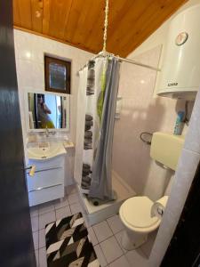 a bathroom with a shower and a toilet and a sink at Apartmani Ines in Marina