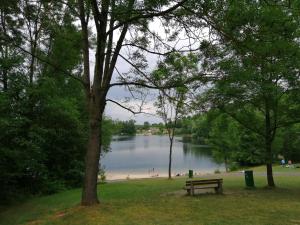 a park bench sitting in the grass near a lake at Ferienhaus 30 am Silbersee mit Badezuber in Frielendorf