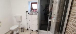 a bathroom with a toilet and a glass shower at Andrea vendégház in Egerszólát