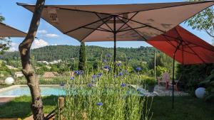 two umbrellas sitting in the grass next to a pool at CASA AUGUSTA in Riez