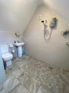 a bathroom with a shower and a toilet and a sink at Inkwell in Chippenham