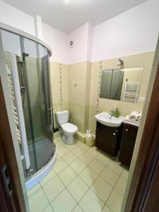 a bathroom with a toilet and a sink and a shower at "Dom Pod Grzybkiem" in Krościenko