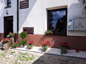 un groupe de plantes en pot sur le côté d'un bâtiment dans l'établissement Apartament Deluxe-Gontalowy, à Kazimierz Dolny