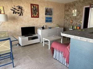 - un salon avec une télévision et un canapé dans l'établissement Panorama, à Palavas-les-Flots