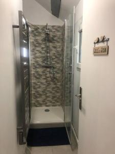 een douche met een glazen deur in de badkamer bij Le Domremy F2 au cœur d'Orléans in Orléans