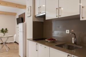 A kitchen or kitchenette at Nova Compostela Apartments