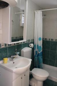La salle de bains est pourvue d'un lavabo, de toilettes et d'une douche. dans l'établissement Apartman Maslovar, à Kotor