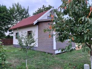 a small brown and white building in a yard at Letni Spokój in Worliny