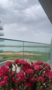 a bunch of pink flowers in front of a window at Mayan Yas Island in Abu Dhabi