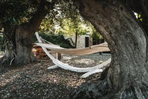 A garden outside Trulli Ericla Luxury