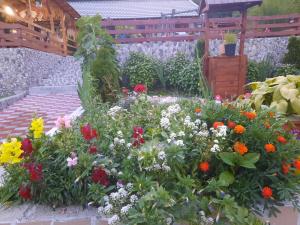 Gambar di galeri bagi Casa Claudiu di Eşelniţa