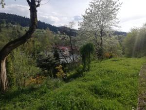 Príroda v okolí privátu
