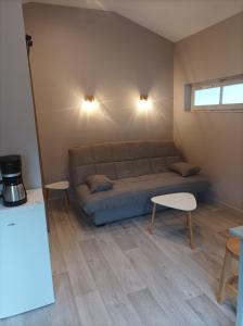 ein Wohnzimmer mit einem Sofa und 2 Tischen in der Unterkunft Le petit chez-vous in La Rivière Saint Sauveur