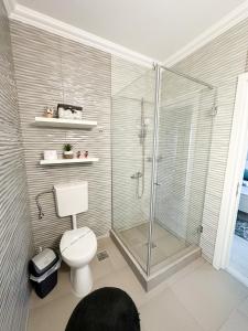 a bathroom with a toilet and a glass shower at House Lake in Techirghiol