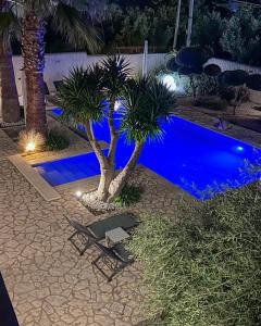 uma palmeira ao lado de uma piscina à noite em 5 elementi em Porto Empedocle
