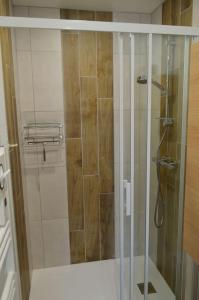 La salle de bains est pourvue d'une douche avec une porte en verre. dans l'établissement Gite le Ryokan, à Wailly-Beaucamp