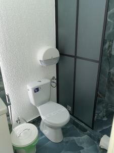 a bathroom with a white toilet and a shower at Diamond Rezidente III in Timişoara