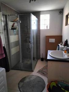 y baño con ducha y lavamanos. en House close to the city center en Mons