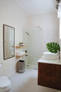 a bathroom with a shower and a toilet and a sink at Blissful Tides in Hope Bay