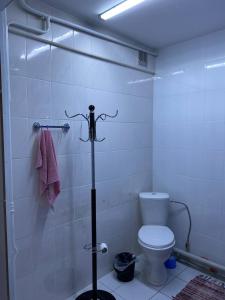 a bathroom with a toilet and a towel rack at Mang’o Hostel in Aktau