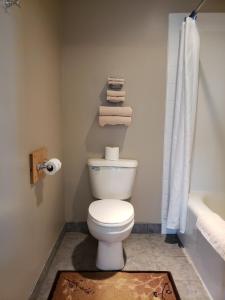 a bathroom with a toilet and a shower and towels at Lamplighter Inn in Three Hills