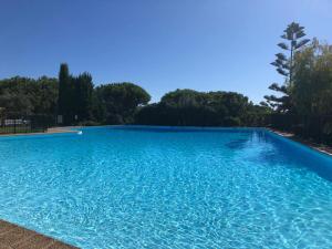 Le Bleu Azur