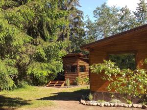 een blokhut in het bos naast een boom bij Pin chalet in Borzont +19 foto's