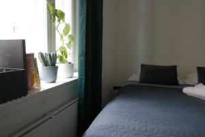 Un dormitorio con una cama y una ventana con una planta en Wonder studio apartment prime location and commute in the heart of Kallio en Helsinki