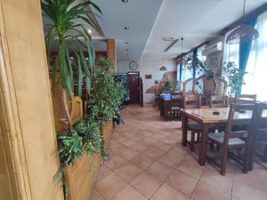 Ristorante o altro punto ristoro di Pansion Kamin