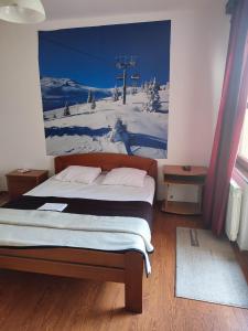 una camera da letto con un letto e uno skilift di Pansion Kamin a Sarajevo