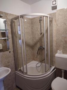 a bathroom with a shower with a toilet and a sink at Pansion Kamin in Sarajevo