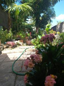 a garden with a green hose attached to flowers at Casa de Leny in Palmeiras