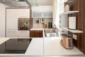 Kuchyňa alebo kuchynka v ubytovaní Lumaja luxury apartman