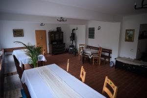 Η κουζίνα ή μικρή κουζίνα στο PENSIUNEA ILEANA "Adults Only"